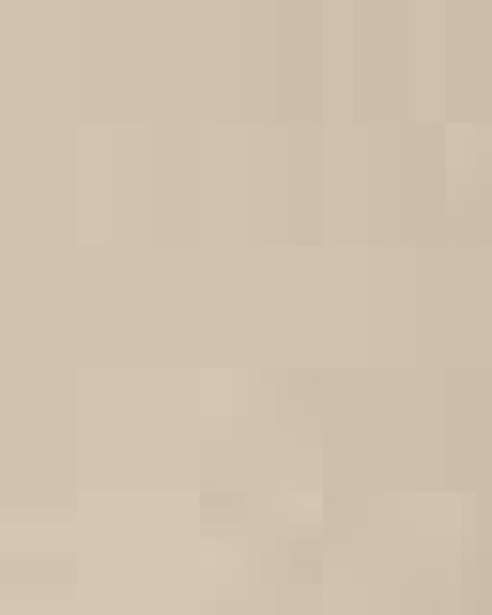 Heavy Blend Fleece Stadium Blanket