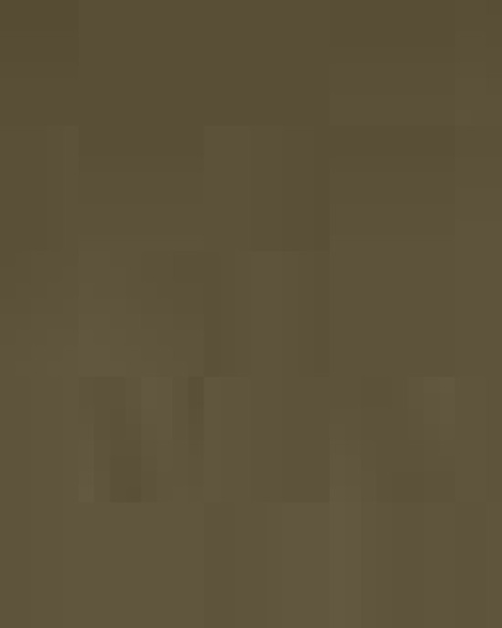 Unisex Hammer™ Maxweight Hooded Sweatshirt