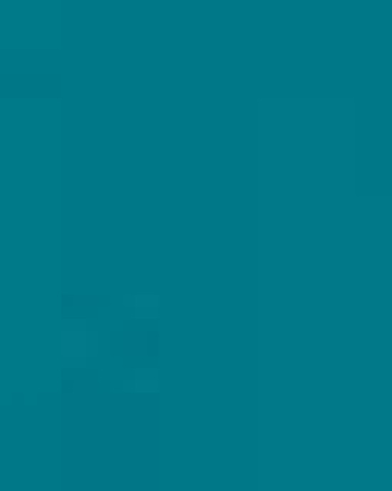 Unisex Ultra Cotton® T-Shirt