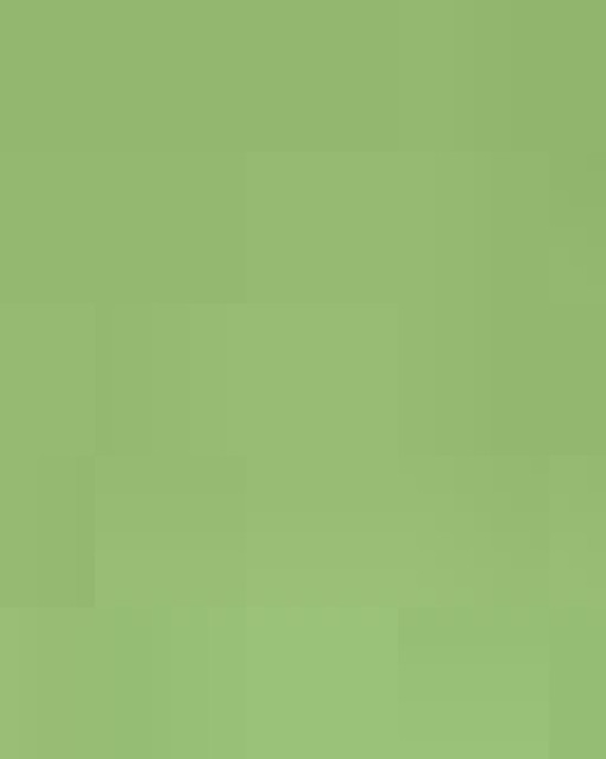 Unisex Ultra Cotton® T-Shirt