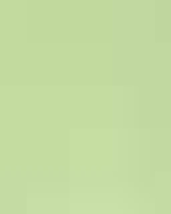 Unisex Ultra Cotton® T-Shirt