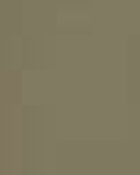 Unisex Ultra Cotton® T-Shirt