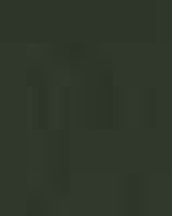 Unisex Heavy Cotton™ T-Shirt