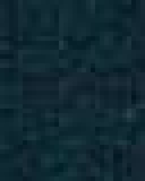 Unisex Heavy Cotton™ T-Shirt