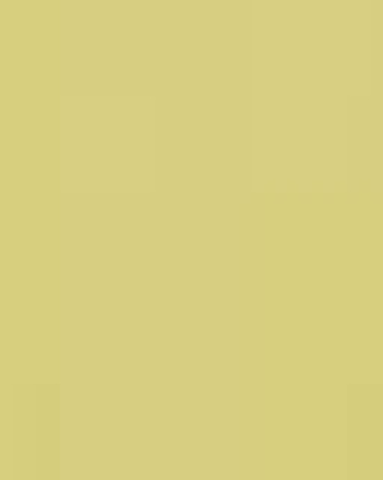 Unisex Softstyle® T-Shirt