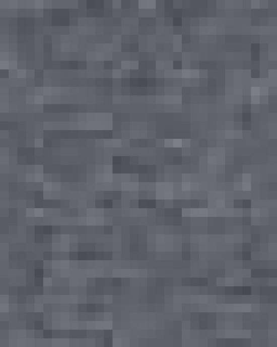 Unisex Softstyle® T-Shirt