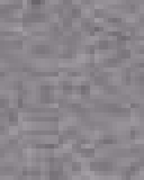 Unisex Softstyle® T-Shirt