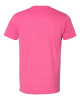 Unisex Softstyle® T-Shirt