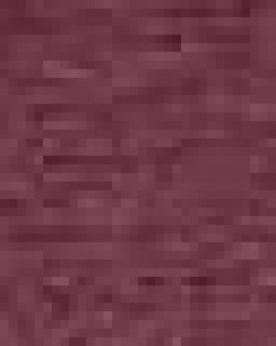 Unisex Softstyle® T-Shirt