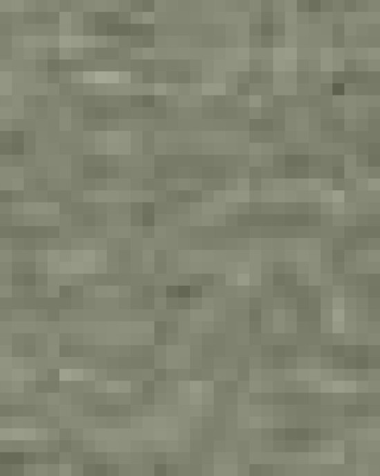 Unisex Softstyle® T-Shirt