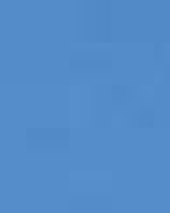 Unisex Softstyle® T-Shirt