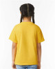 Youth Softstyle® T-Shirt