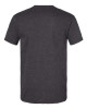 Unisex Softstyle® CVC T-Shirt