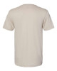 Unisex Softstyle® CVC T-Shirt