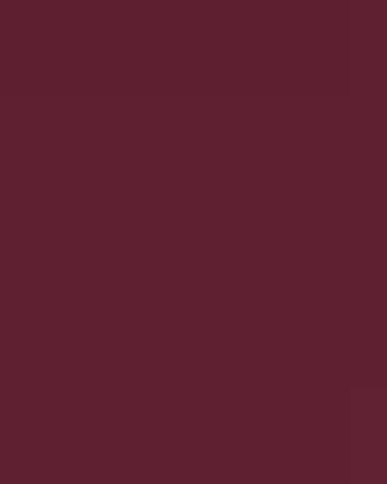 Unisex Softstyle® Midweight T-Shirt