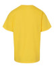 Youth Softstyle® Midweight T-Shirt