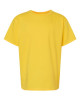 Youth Softstyle® Midweight T-Shirt