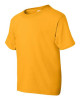 Youth DryBlend® T-Shirt