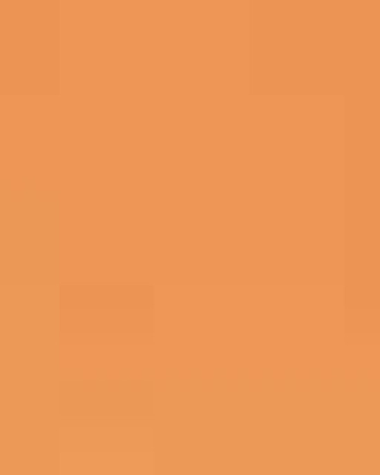 Unisex Softstyle® Midweight Crewneck Sweatshirt