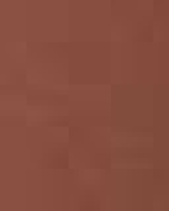 Unisex Softstyle® Midweight Hooded Sweatshirt