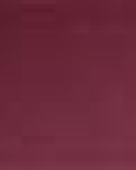 Women's Advantage Snag Protection Plus Polo