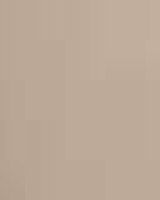 Men's Advantage IL Workshirt