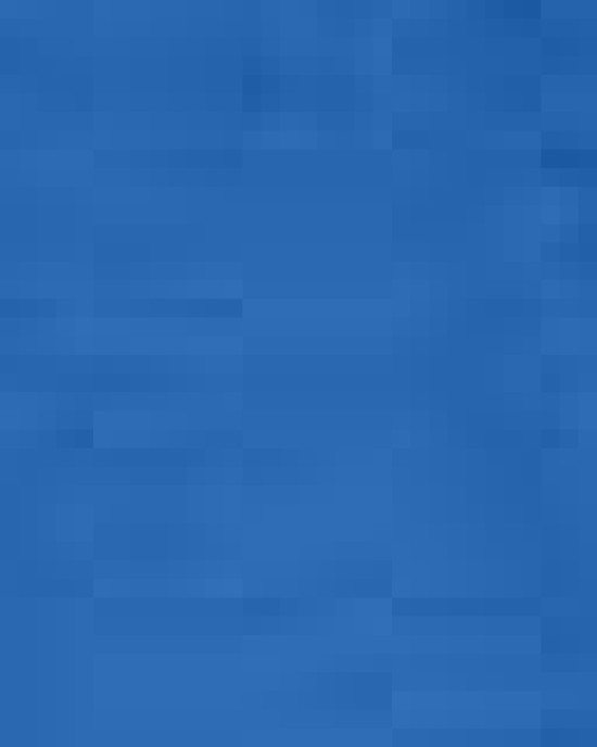 Women's Long Sleeve Oxford Dress Shirt