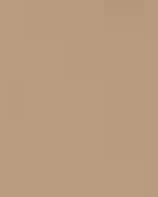 Unisex Heavyweight Hooded Sweatshirt