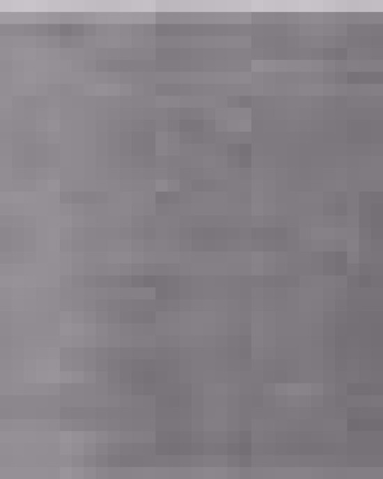 Youth Lightweight Special Blend Raglan Hooded Sweatshirt