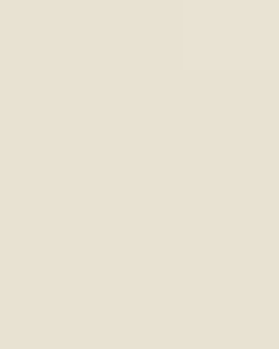 Unisex Icon Lightweight Loopback Terry Crewneck Sweatshirt