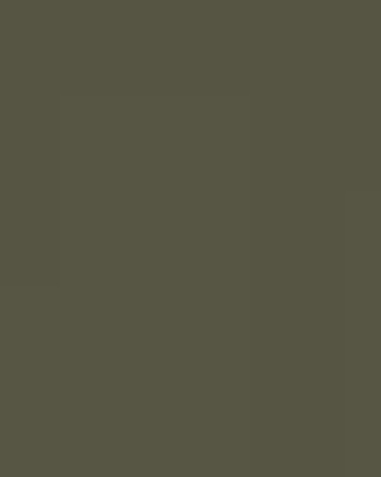 Unisex Midweight Hooded Sweatshirt