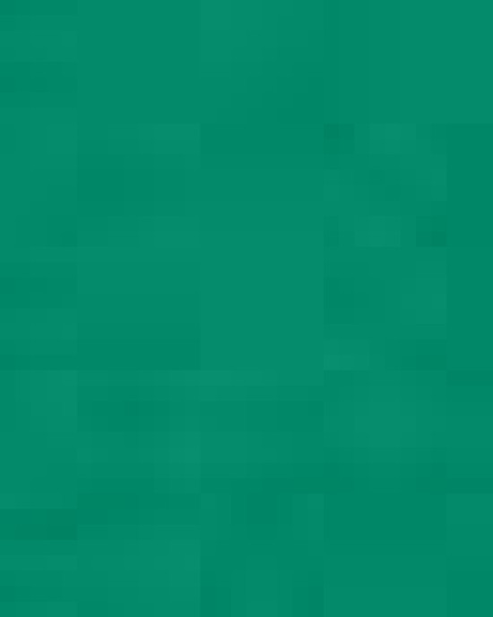 Unisex Midweight Hooded Sweatshirt