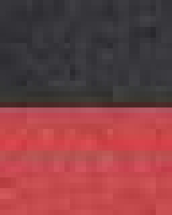 Fleece Raglan Hooded Sweatshirt