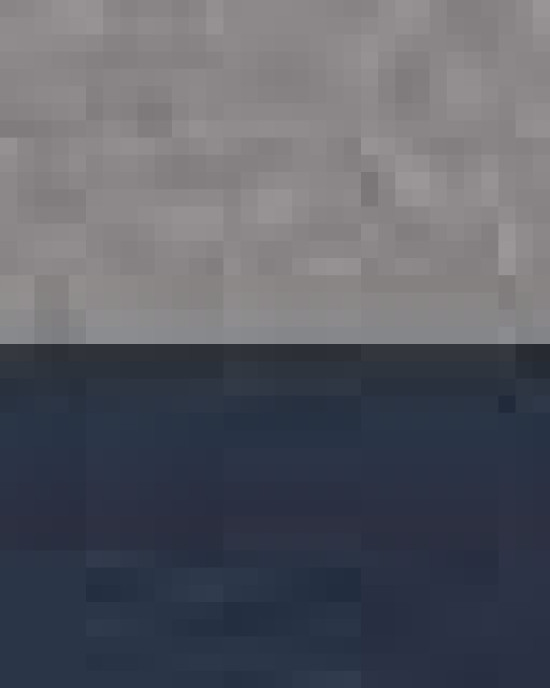 Fleece Raglan Hooded Sweatshirt