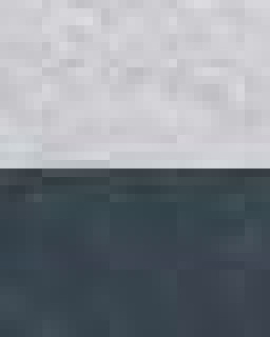 Two-Tone Hooded Sweatshirt