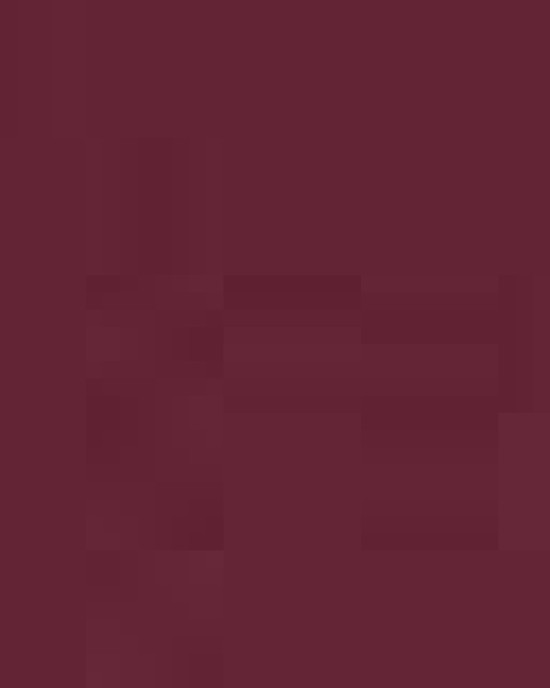 Unisex Pullover Hoodie