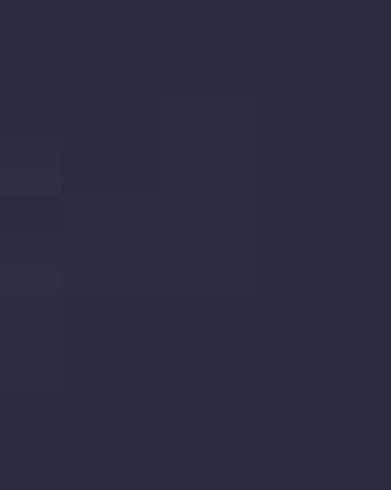 Women's Ideal T-Shirt