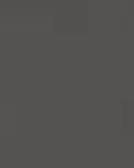 Women's Ideal V-Neck T-Shirt