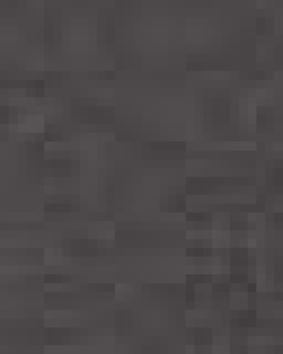 Unisex Festival T-Shirt