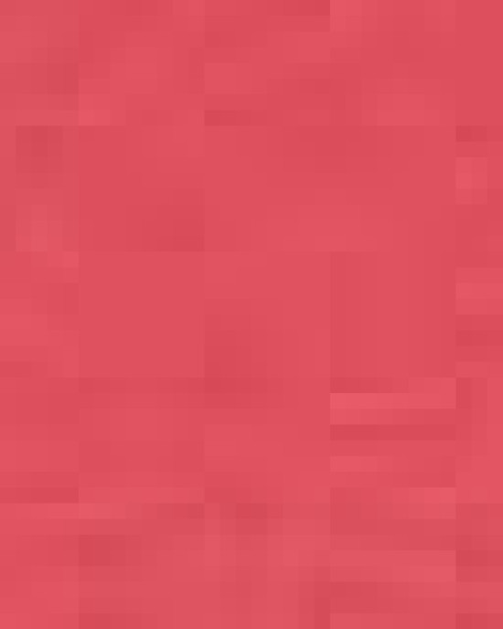 Unisex Festival T-Shirt