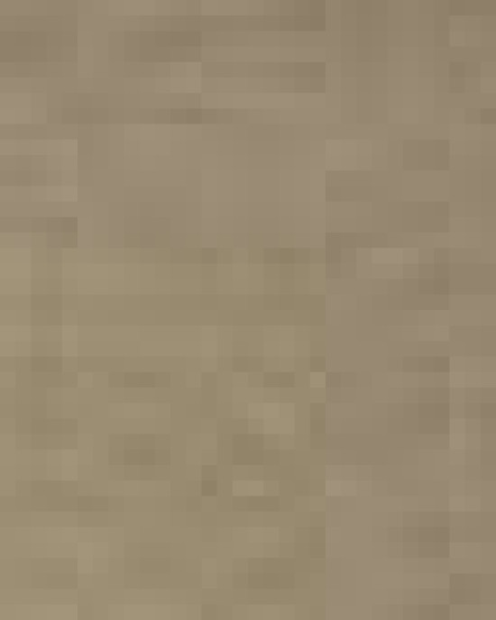 Unisex Festival T-Shirt