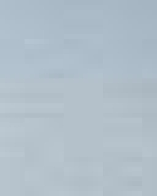 Unisex Festival T-Shirt