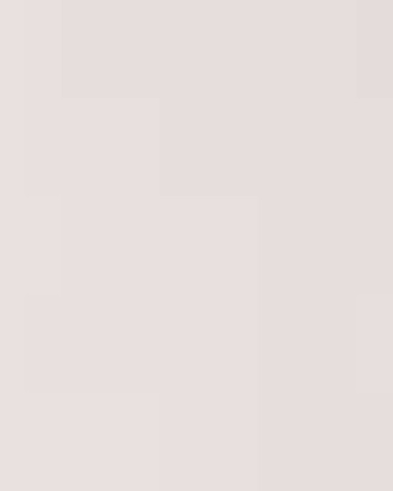 Unisex Festival T-Shirt