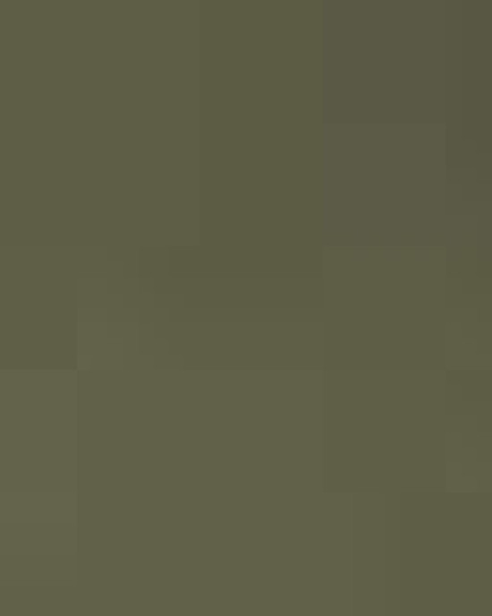 Women’s CVC T-Shirt