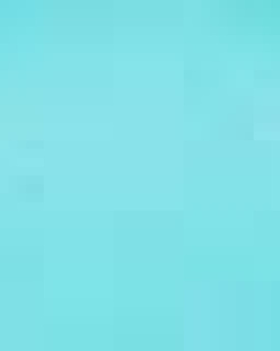 Women’s Triblend Racerback Tank