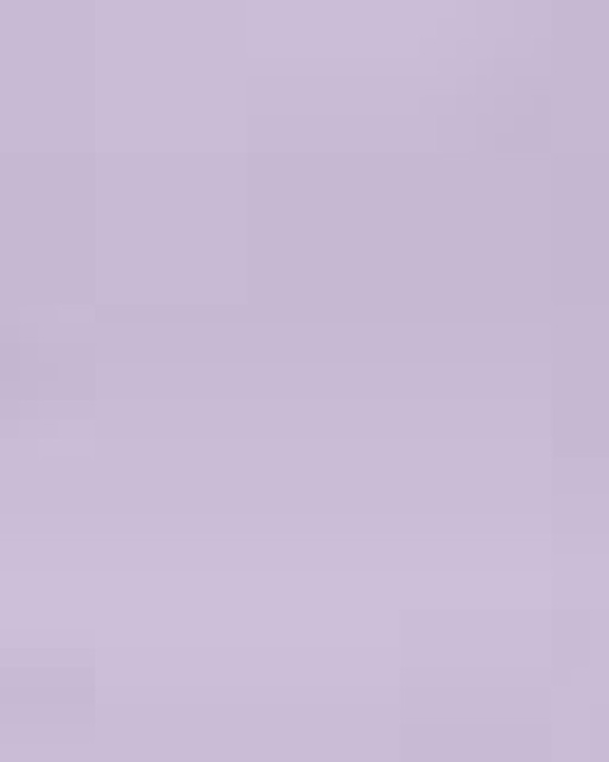 Women's Heavyweight Crewneck Sweatshirt