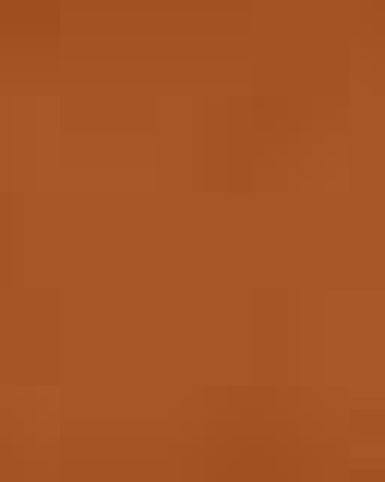 Unisex Heavyweight Fleece Hoodie Sweatshirt