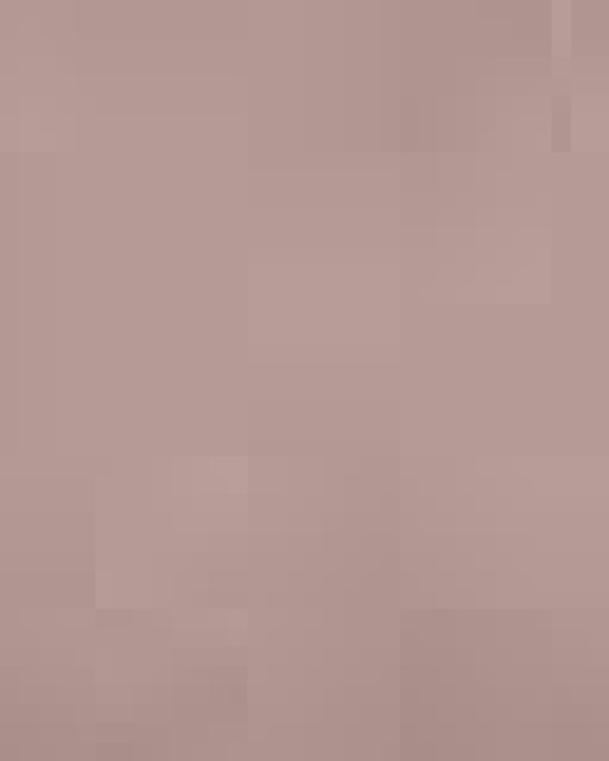 Unisex Heavyweight Fleece Hoodie Sweatshirt