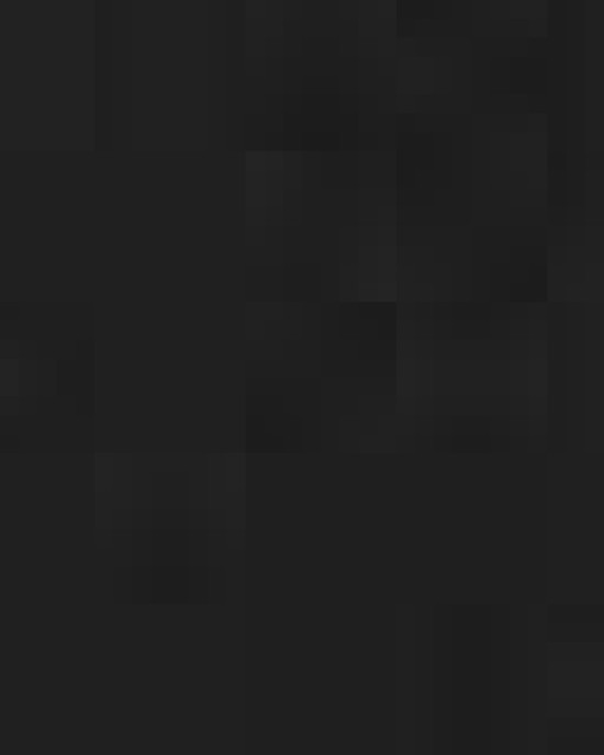 Men's 3-in-1 Two-Tone Parka