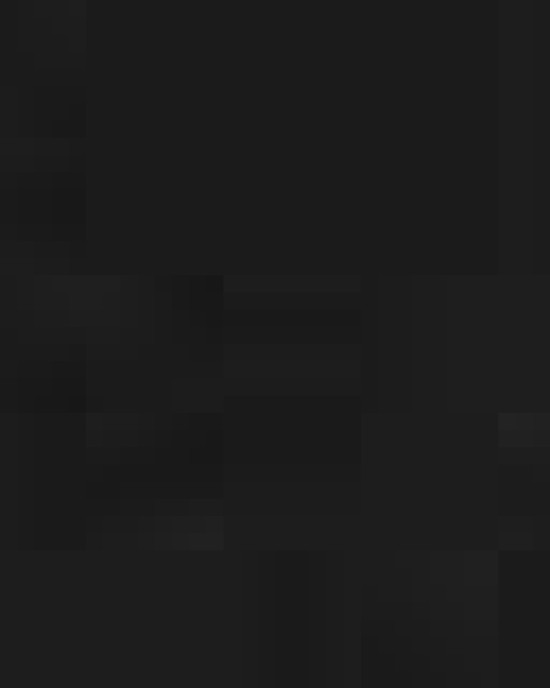 Men's 3-in-1 Parka with Dobby Trim